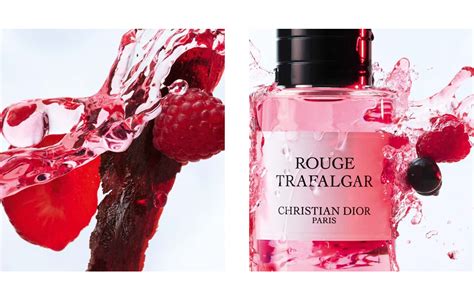 rouge trafalgar christian dior price.